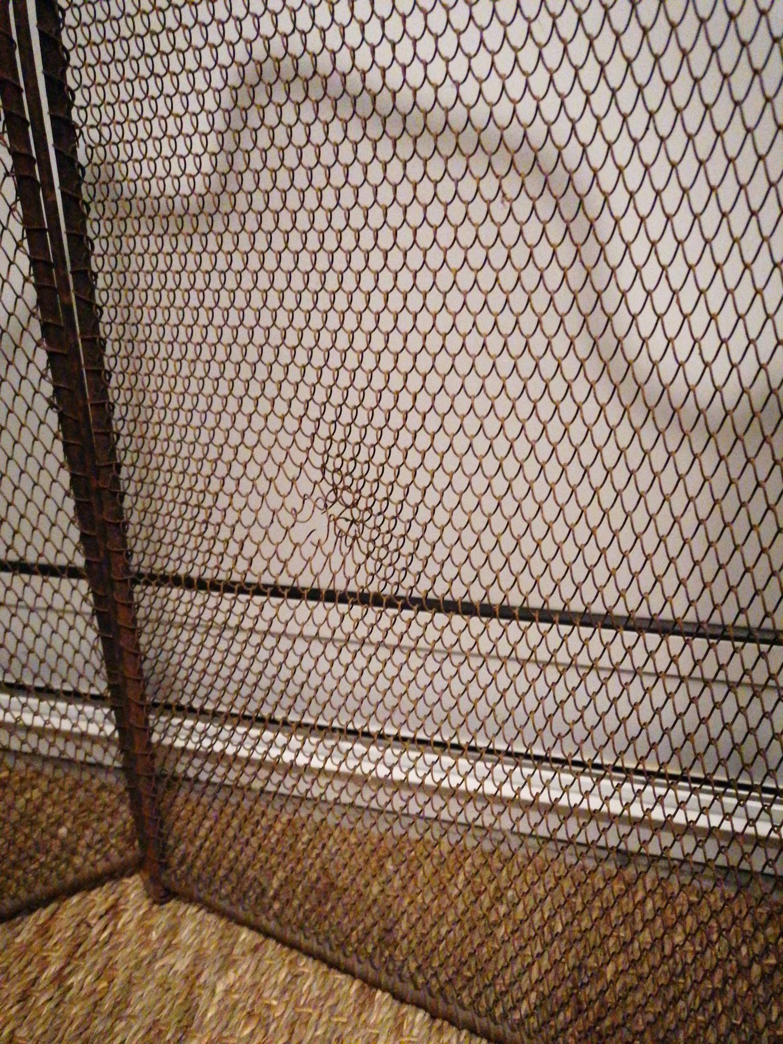 Screen fireplace