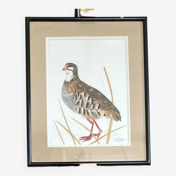 Red Partridge Collage, made from feathers and leaves
