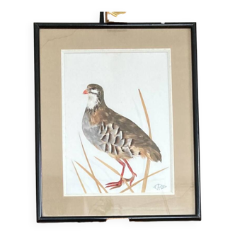 Red Partridge Collage, made from feathers and leaves