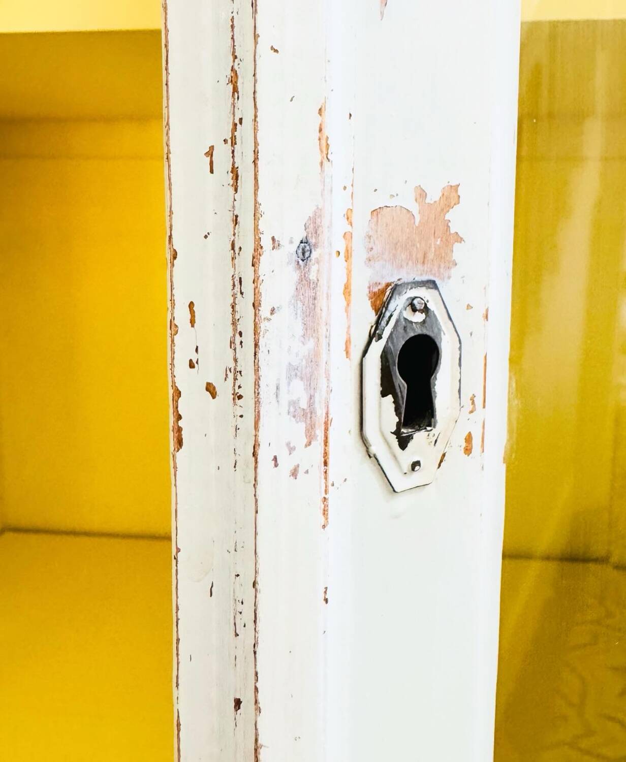 Parisian wardrobe with two glass doors