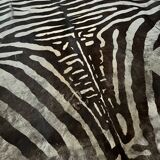 Genuine zebra print skin rug