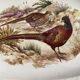 Grand plat ancien ovale