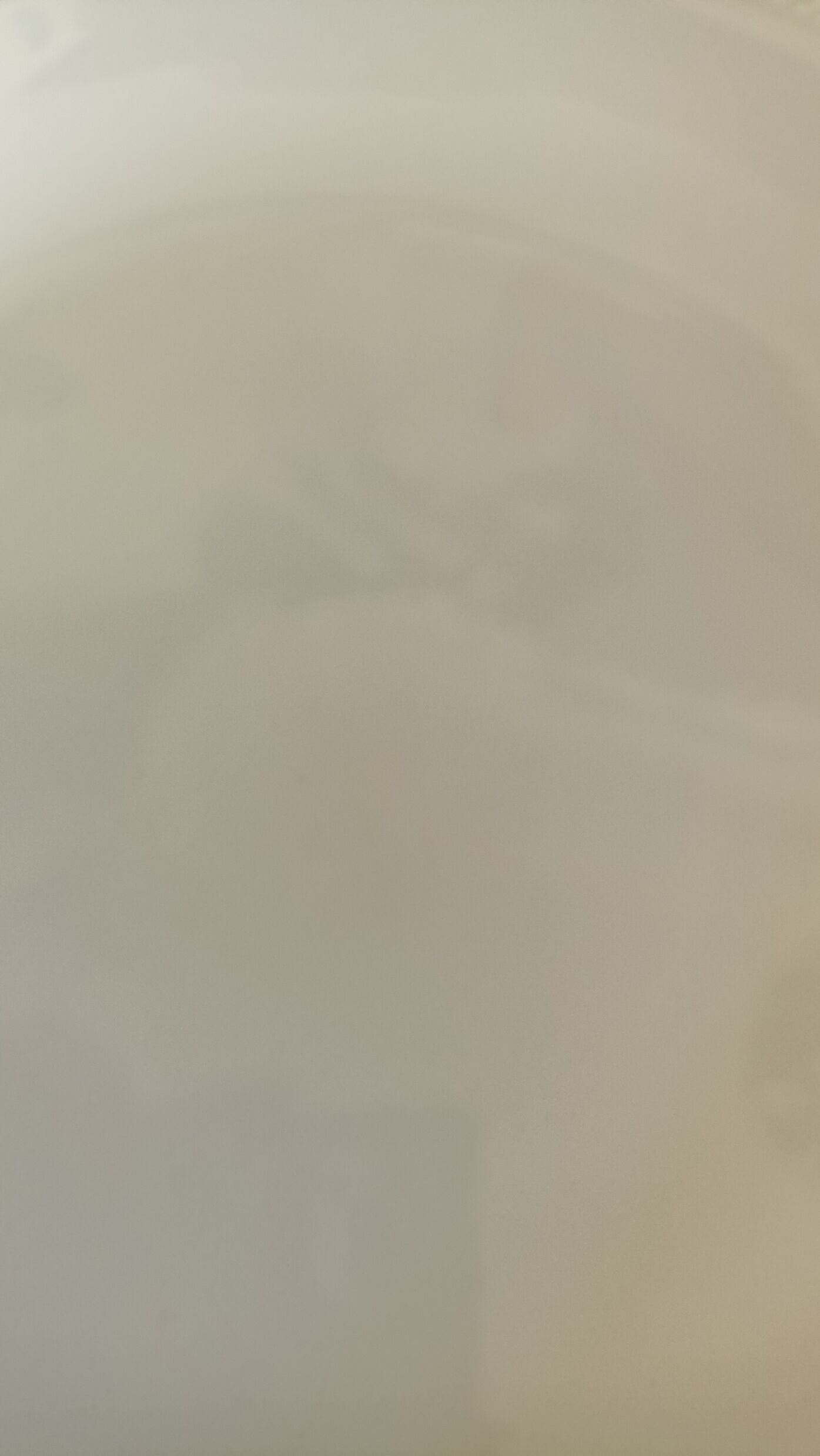 Salins Dish - Chinon Model