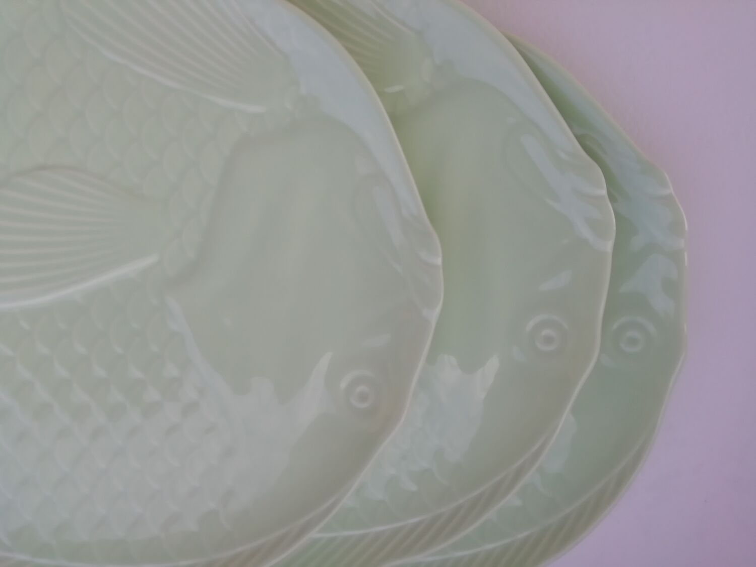 Fish plates