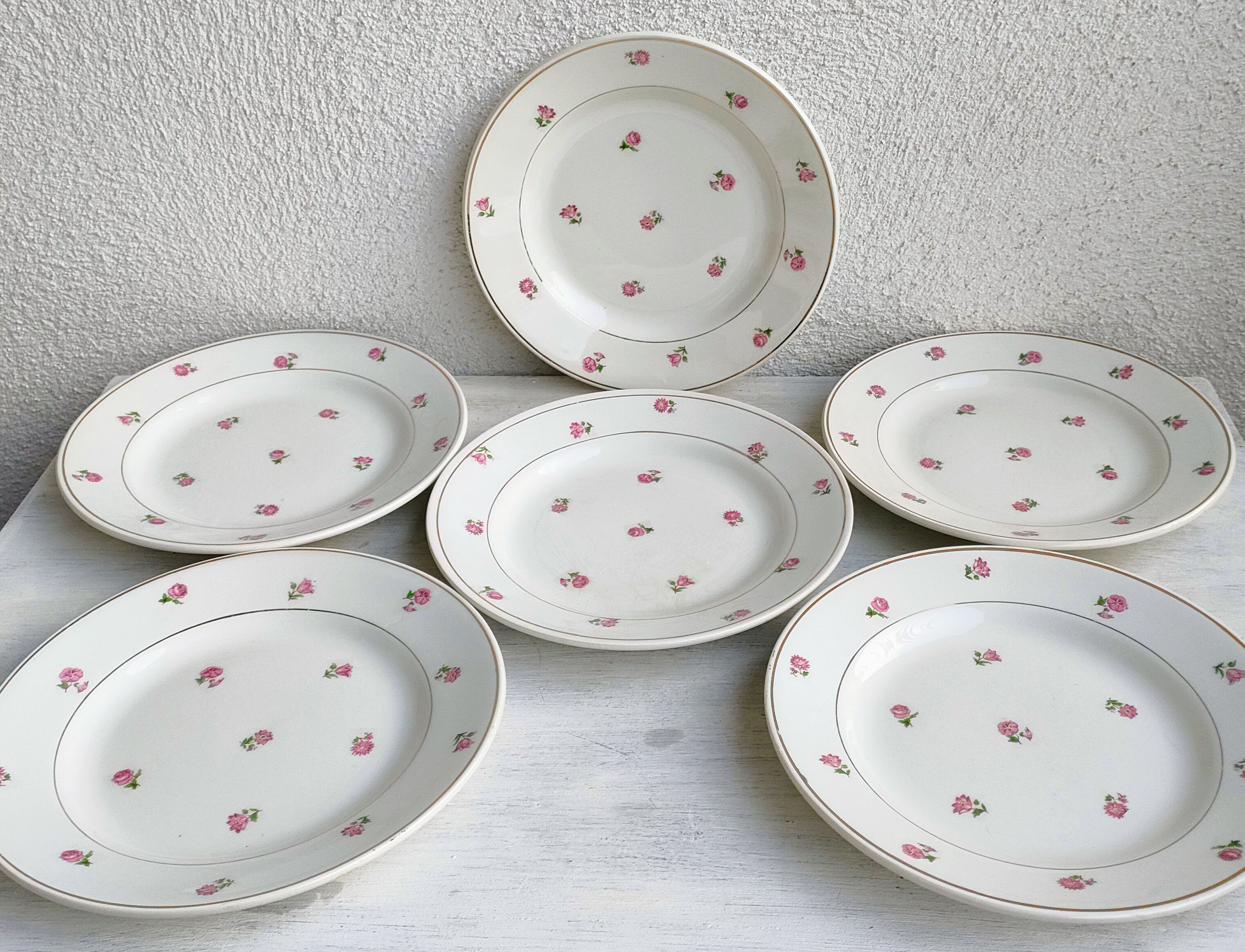 Lot 6 plates dessert porcelain Moulin des Loups