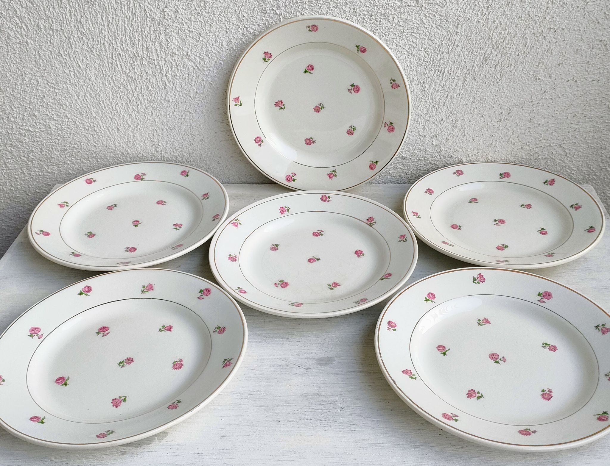 Lot 6 assiettes dessert porcelaine Moulin des Loups
