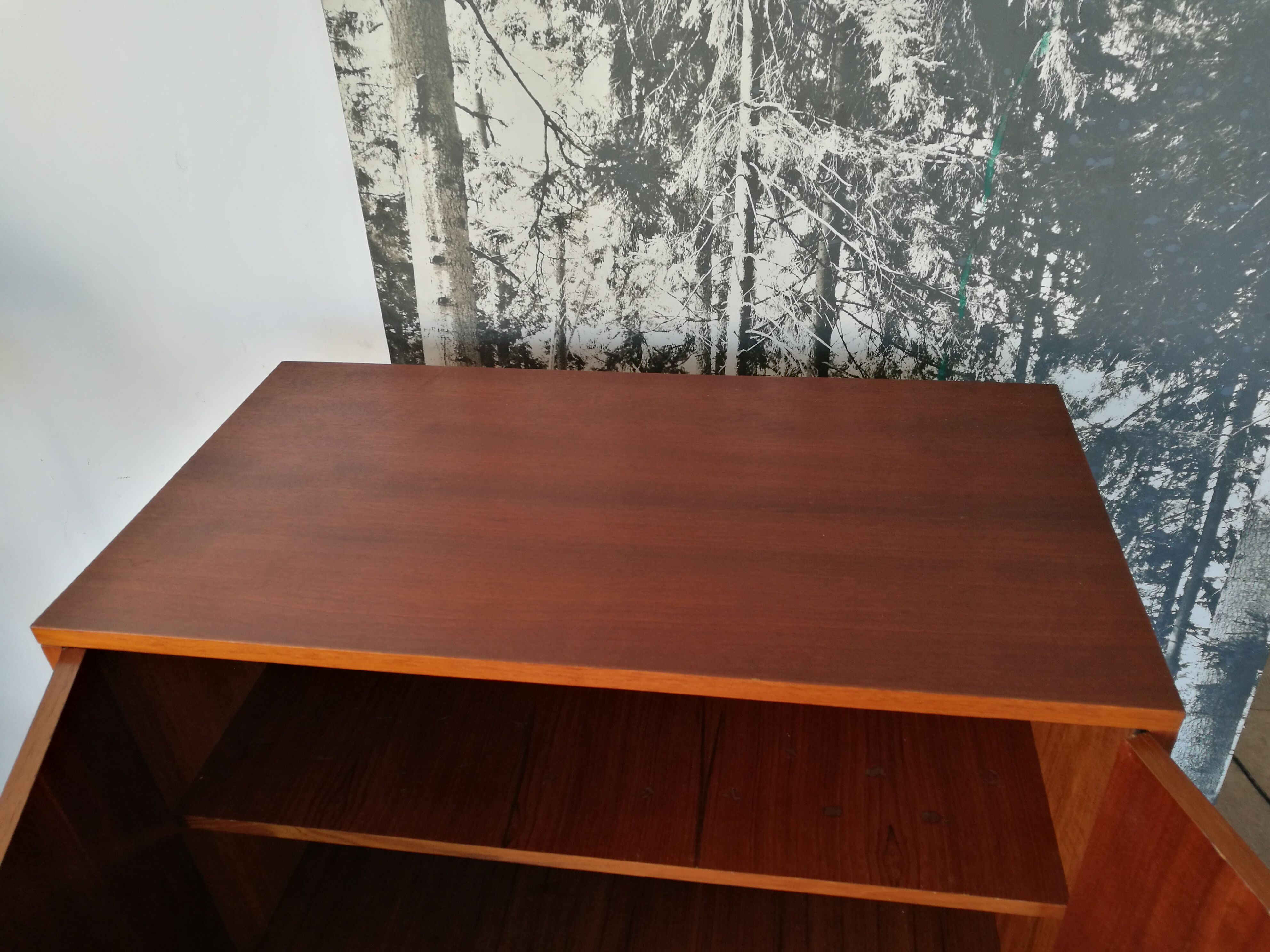 Wardrobe design 1970, teak