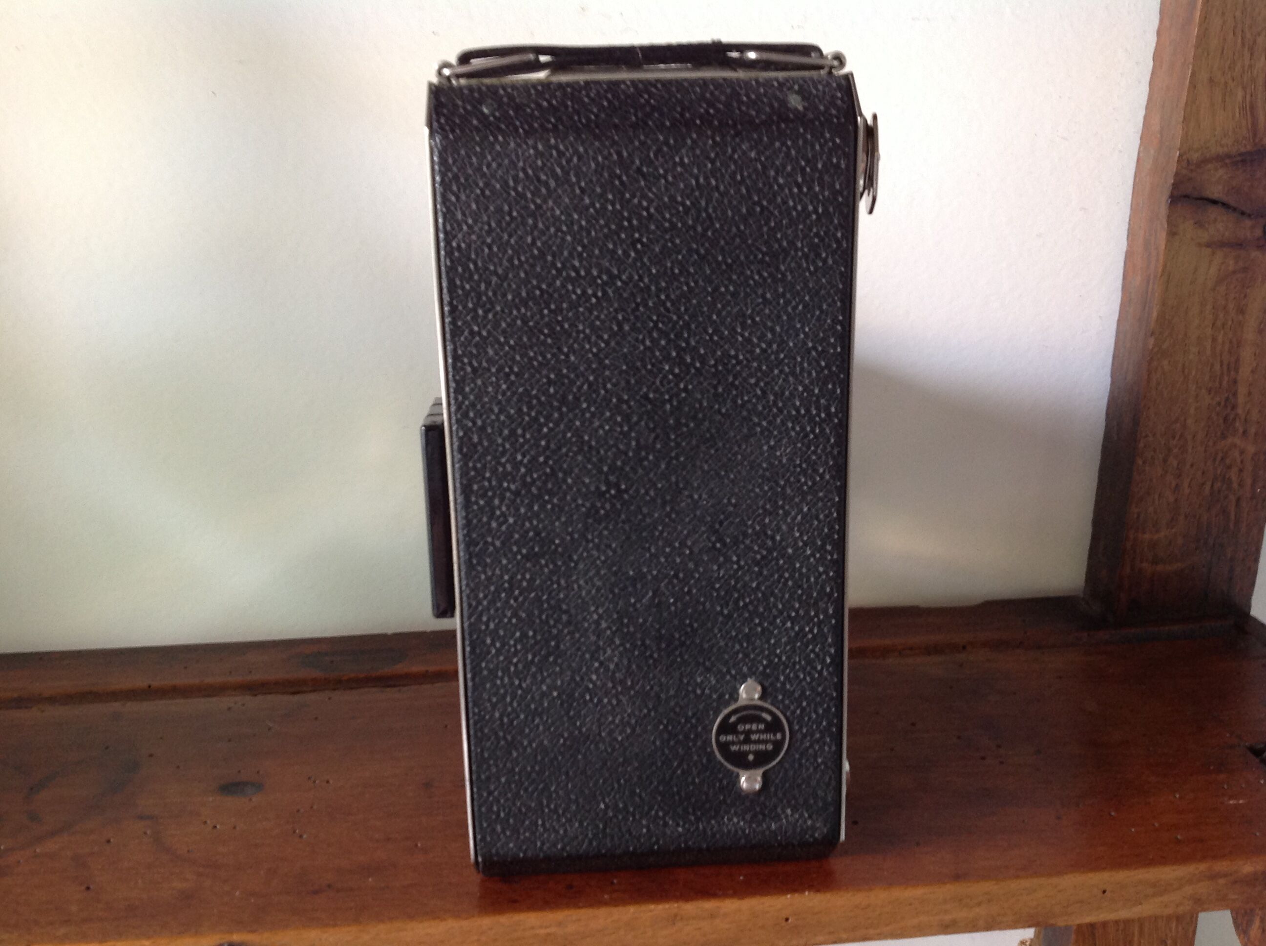 Kodak bellows camera with bag