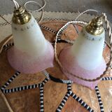 Pair of wine suspensions