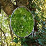Oval chrome mirror, 60
