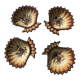 Paul Fouillen shell pocket emptier