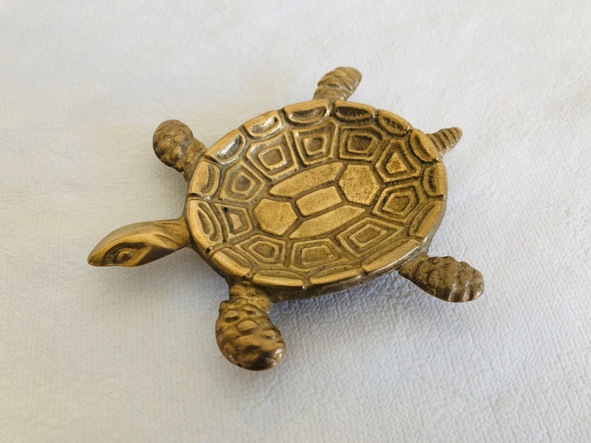 Brass turtle trinket bowl