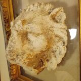 Antique gilded frame with stone lion head ornament on plexiglass