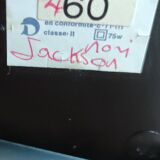 Large lamp Le Dauphin Design 1970/1980