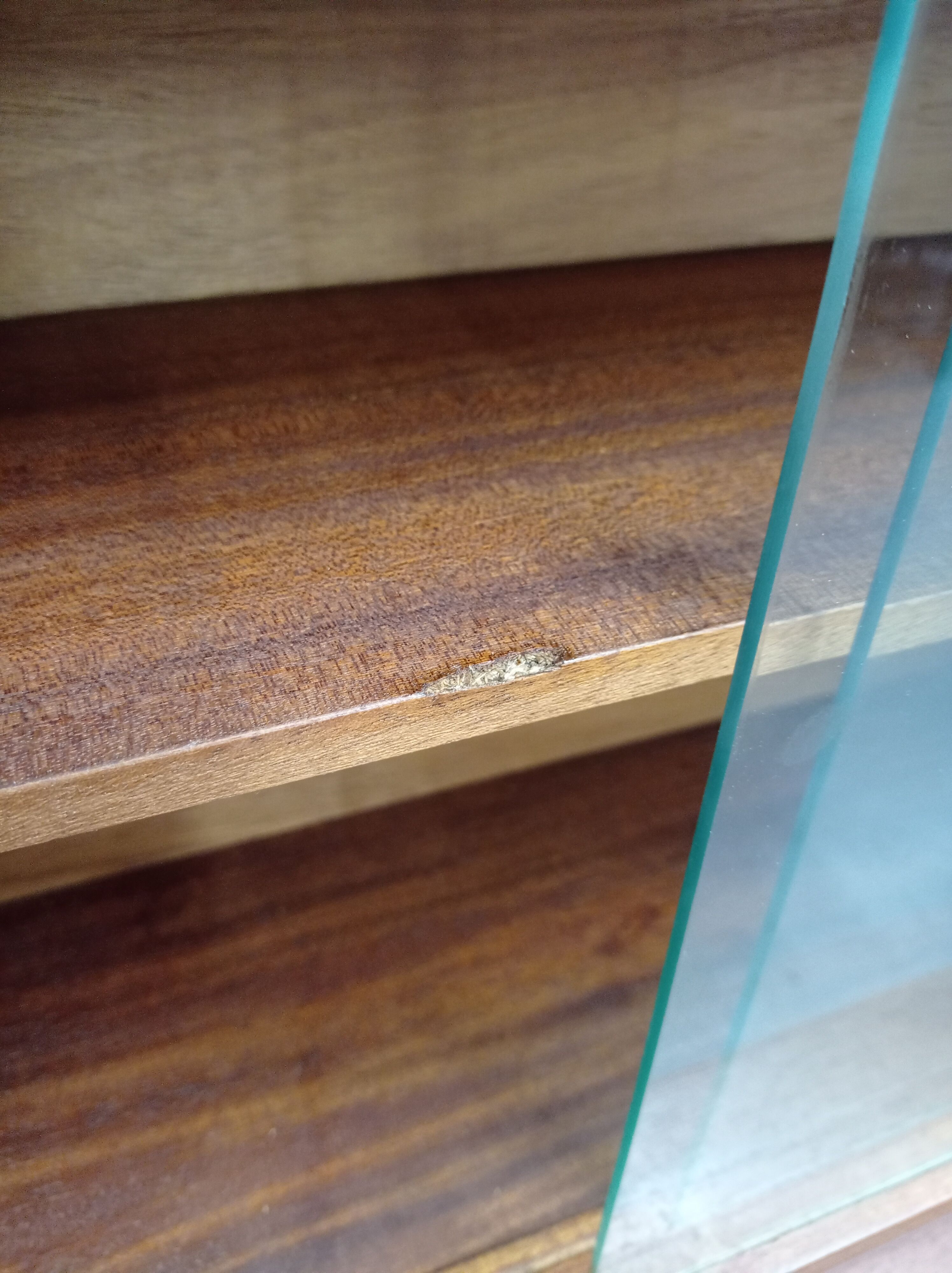 Scandinavian-style showcase furniture