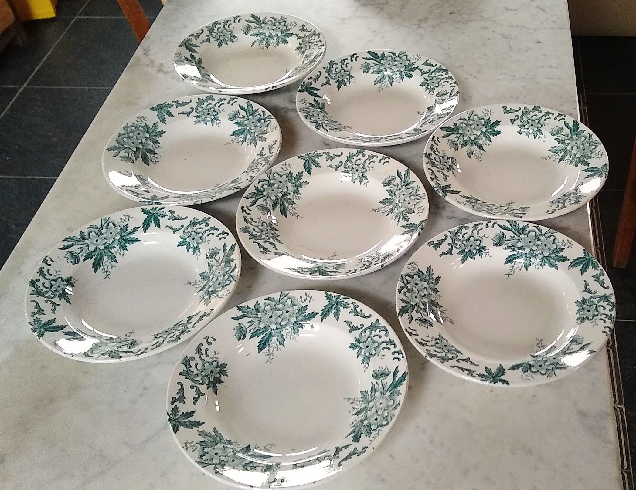 8 hollow plates Anemone pattern of St Amand green gray color