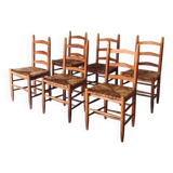Low rustic ladder back dining chairs in oak and rush, Belgium, 1950s, set of 6.