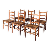 Low rustic ladder back dining chairs in oak and rush, Belgium, 1950s, set of 6.