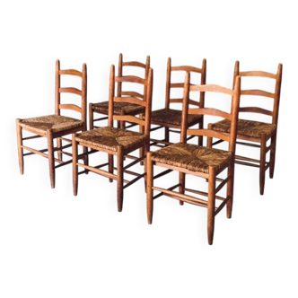 Low rustic ladder back dining chairs in oak and rush, Belgium, 1950s, set of 6.