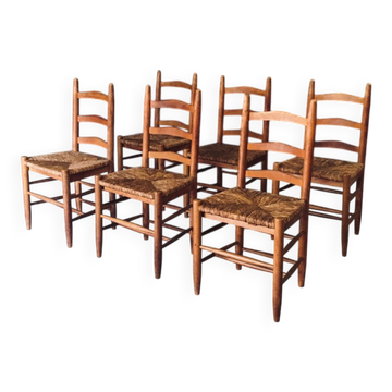 Low rustic ladder back dining chairs in oak and rush, Belgium, 1950s, set of 6.