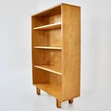 Cabinet by Cees Braakman for Pastoe, 1950s