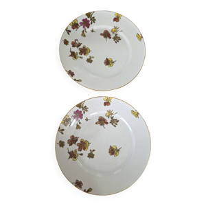 Paire d'assiettes japonisantes - limoges