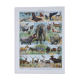 Original plate from 1930: exotic and wild mammals, biodiversity
