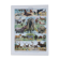 Original plate from 1930: exotic and wild mammals, biodiversity