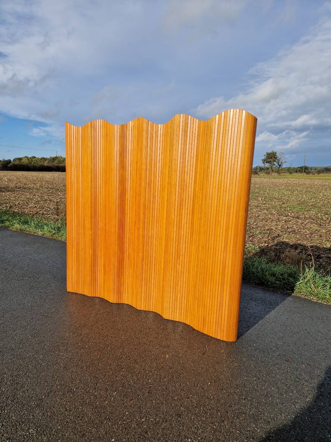 Baumann slat screen