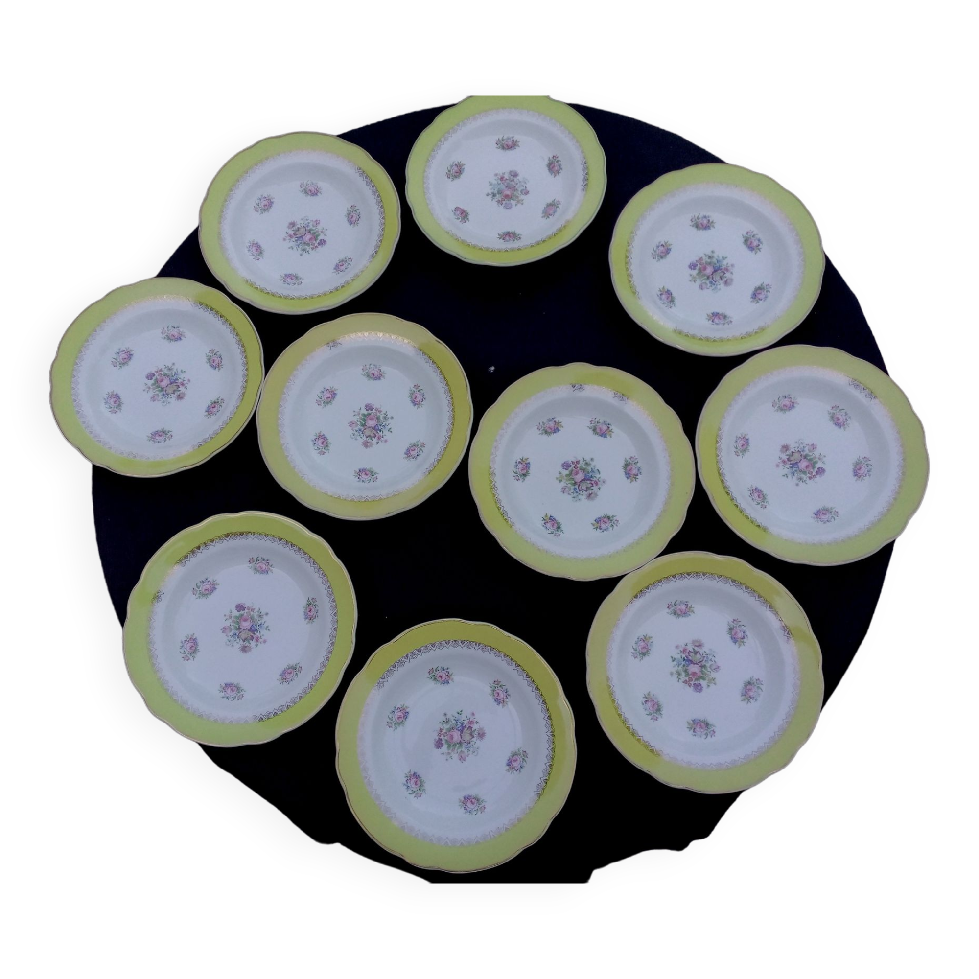 10 hollow plates model graziella sarreguemines & digoin