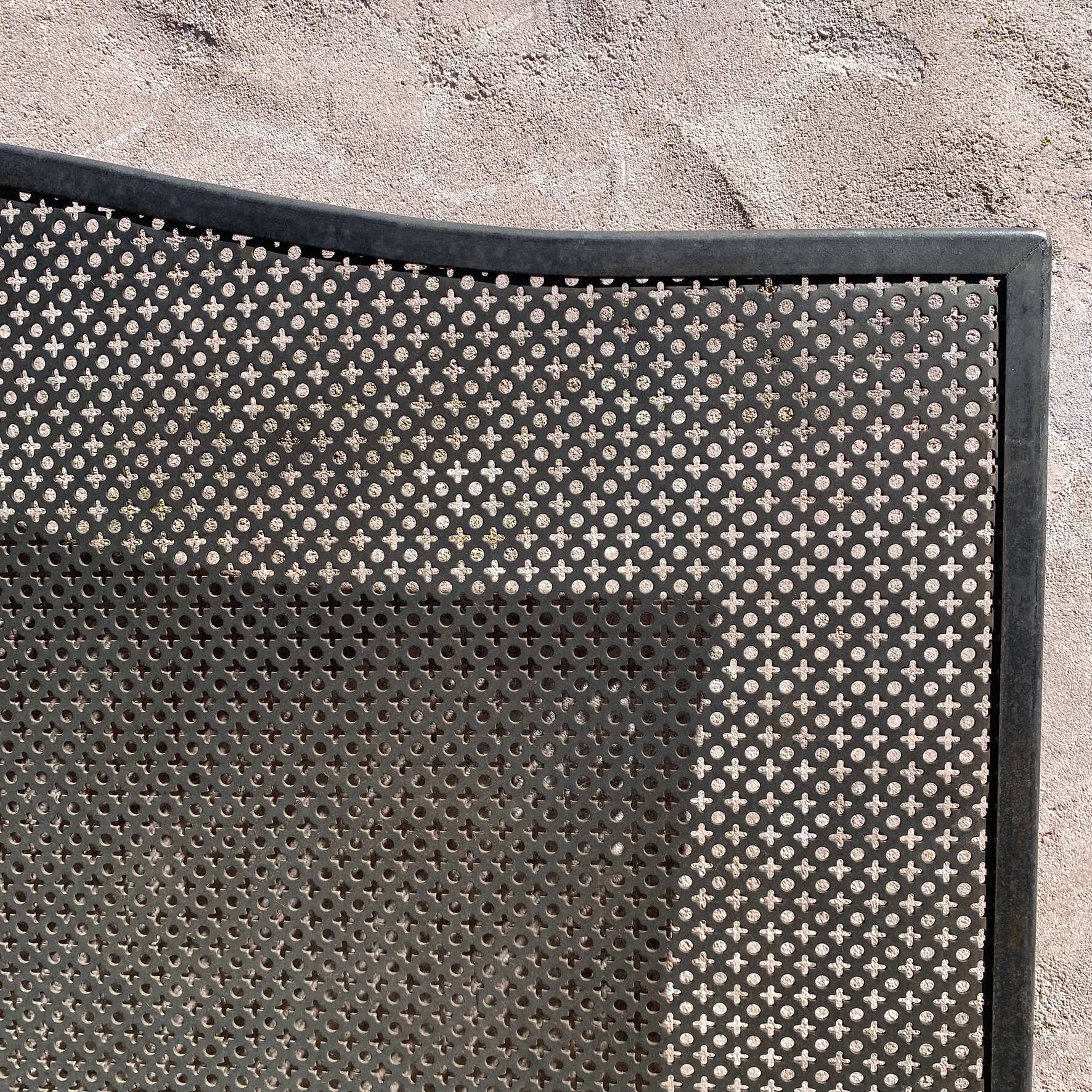 Fireplace screen in metal with cast iron fleur-de-lis.