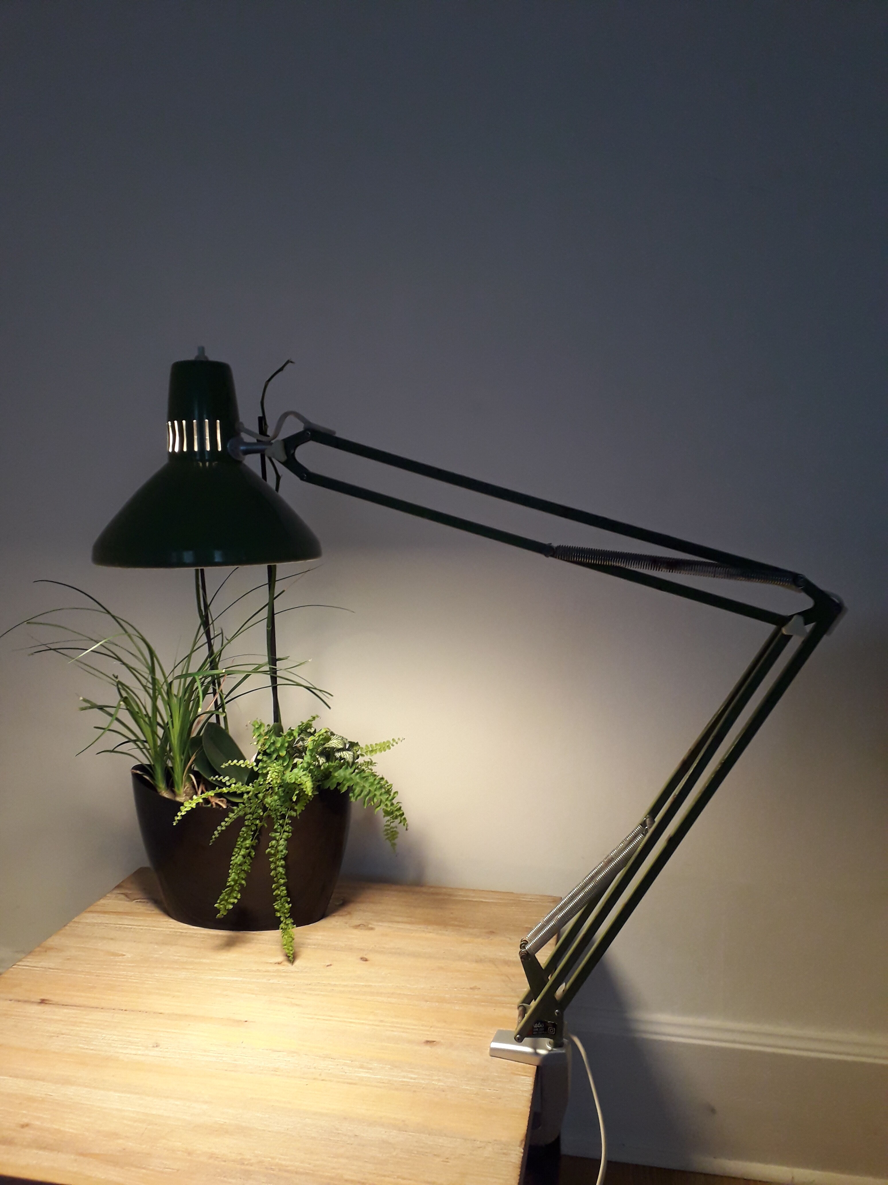 Lampe articulée Ledu type 2312 atelier architecte métal laqué vert -1970