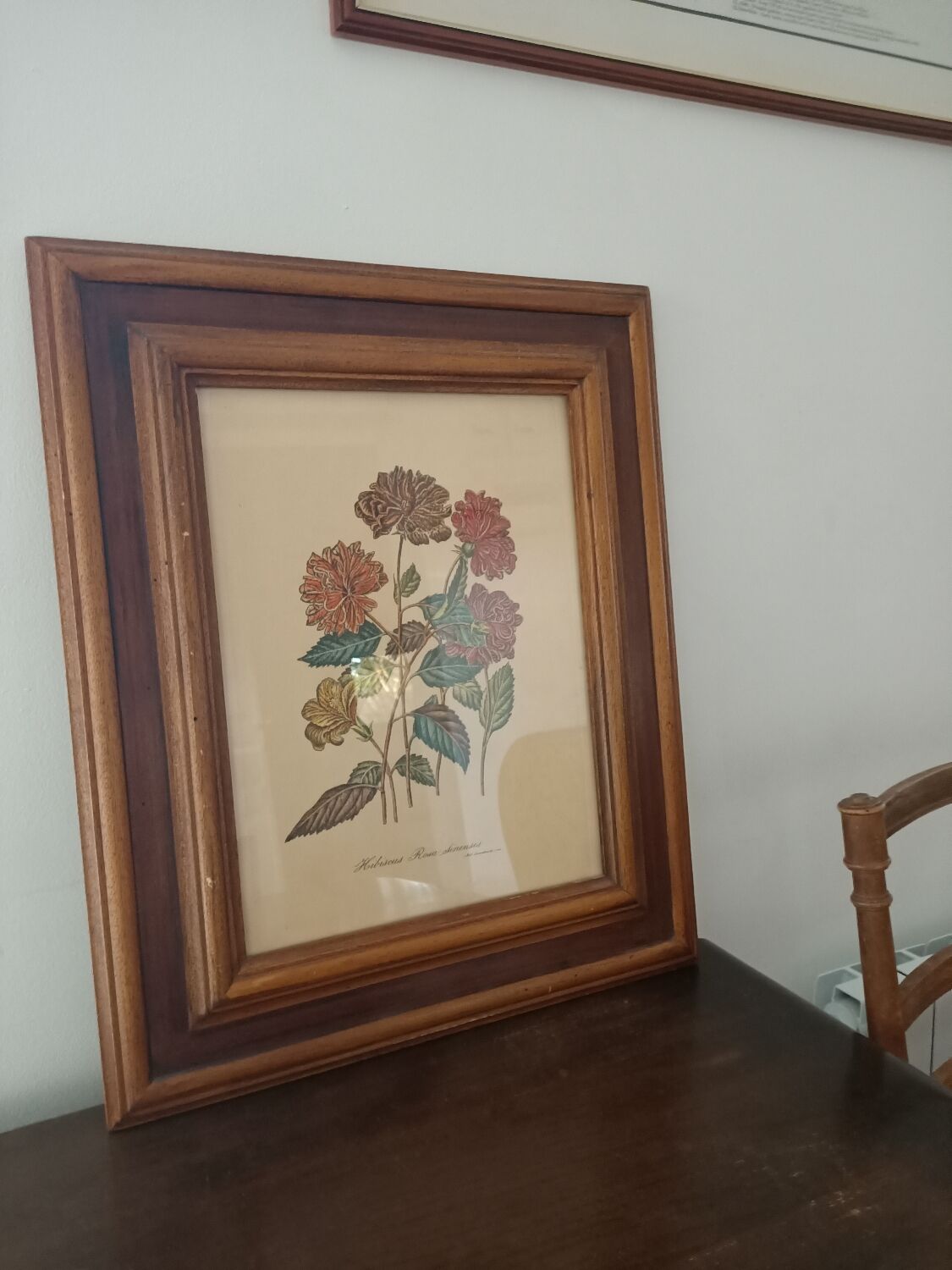 Hibiscus frame