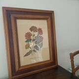 Hibiscus frame
