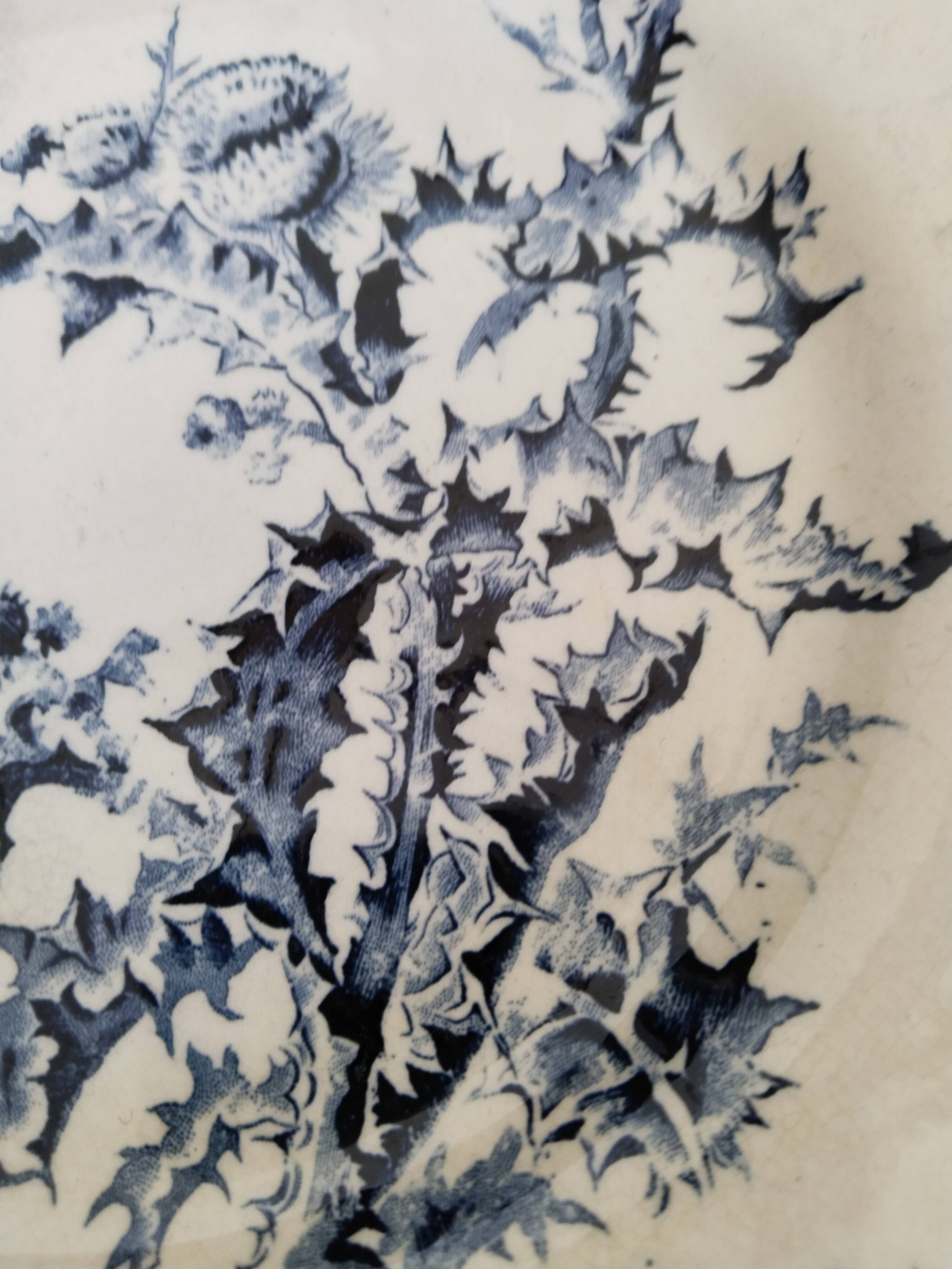 Gien earthenware plate, Terre de fer, Chardons model