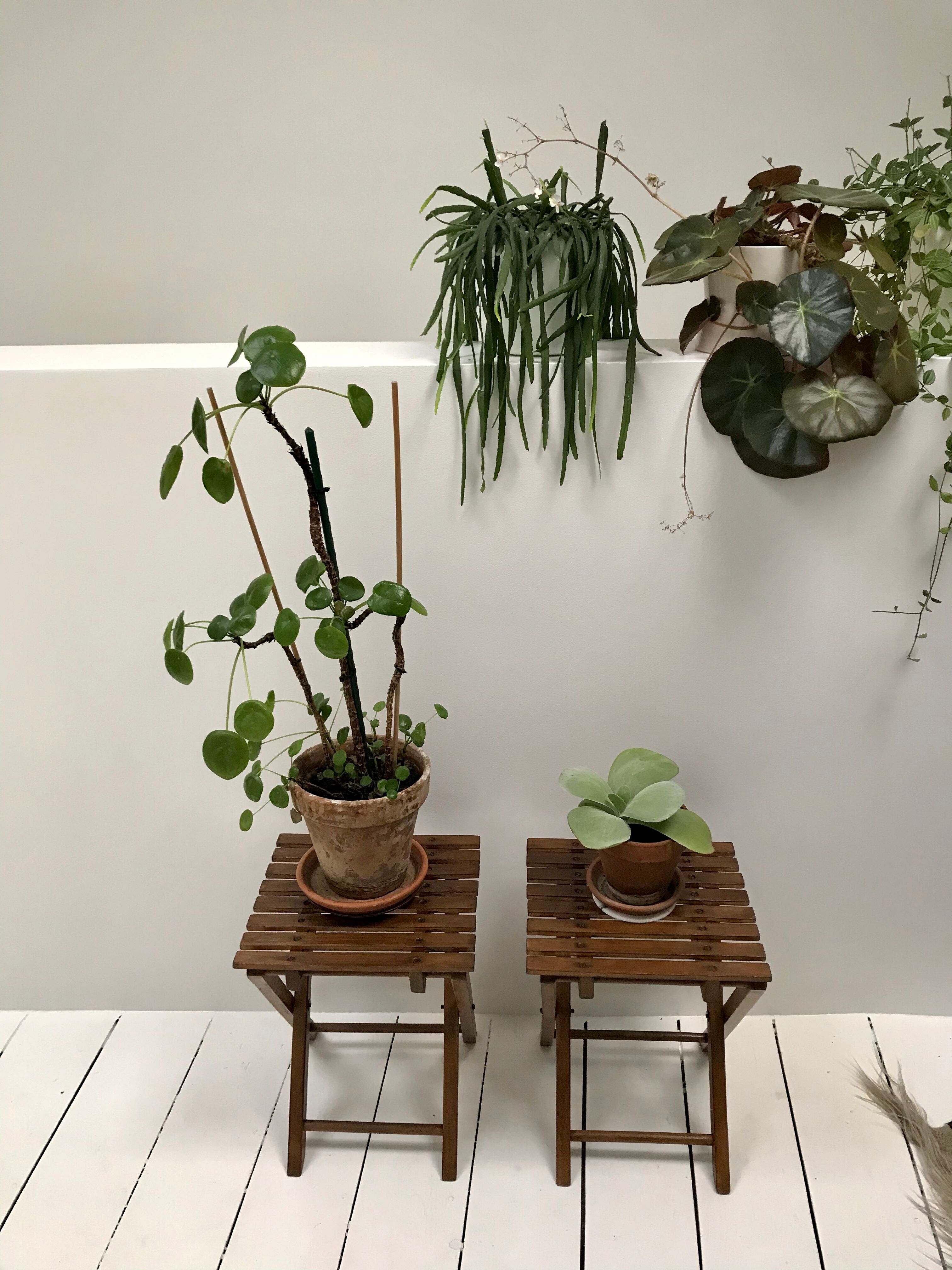 Lot of two side tables