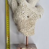 Old white coral branch on pedestal, 27 cm