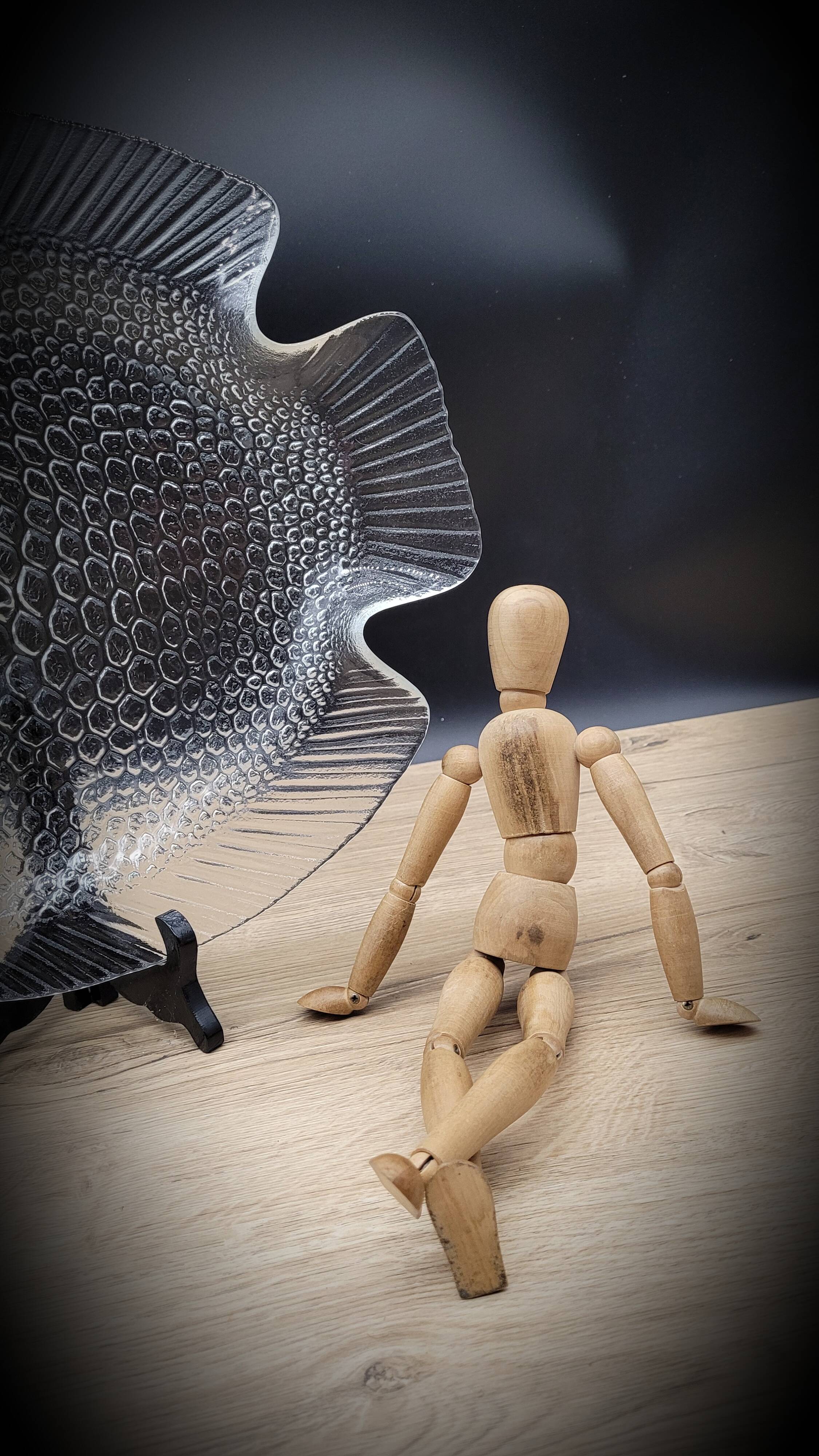 Large fish dish 40x33 transparent