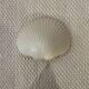 Michel Mahé shell wall light