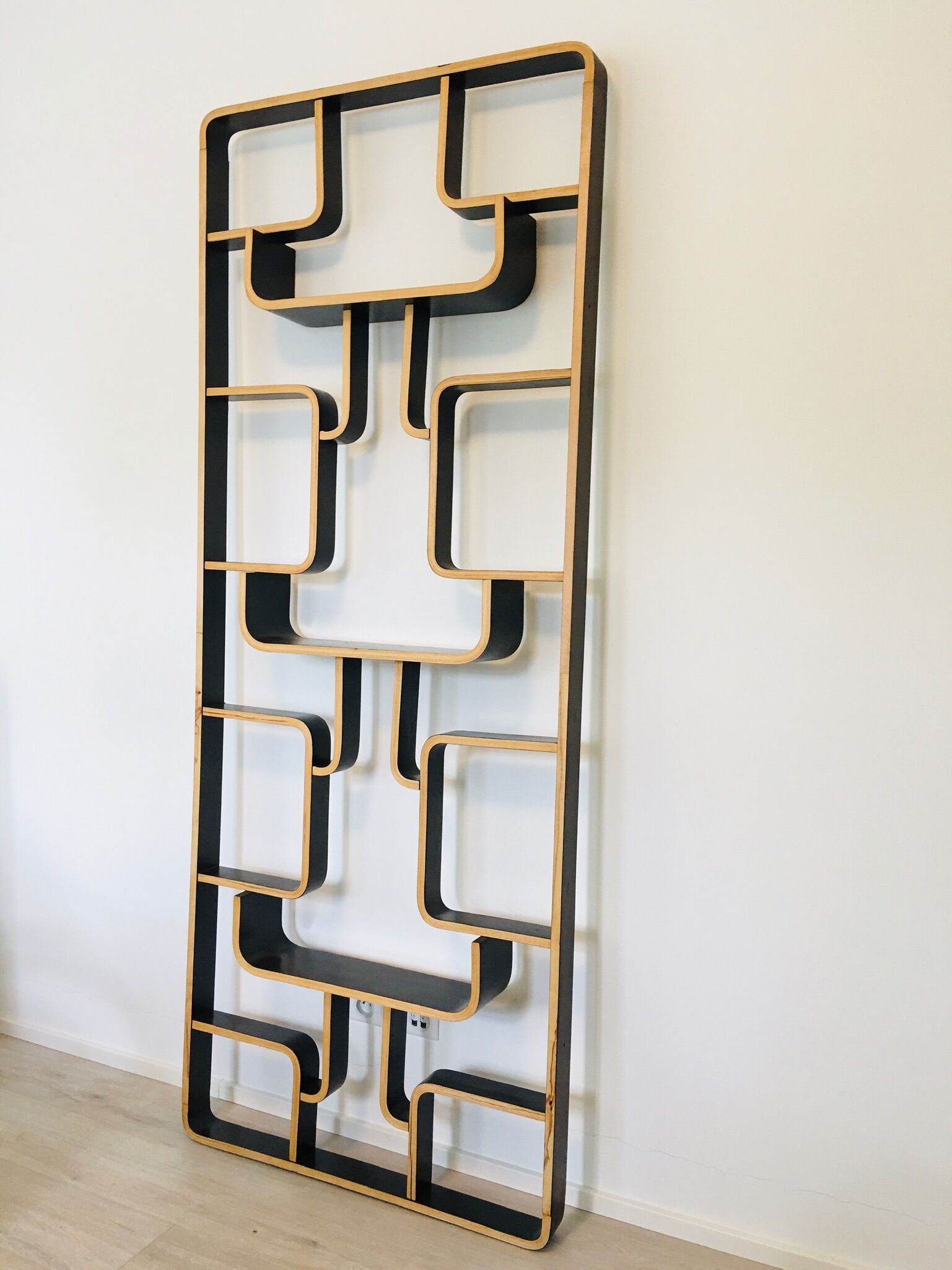 Mid-Century Room Divider by Ludvik Volak for Drevopodnik Holesov, 1960s