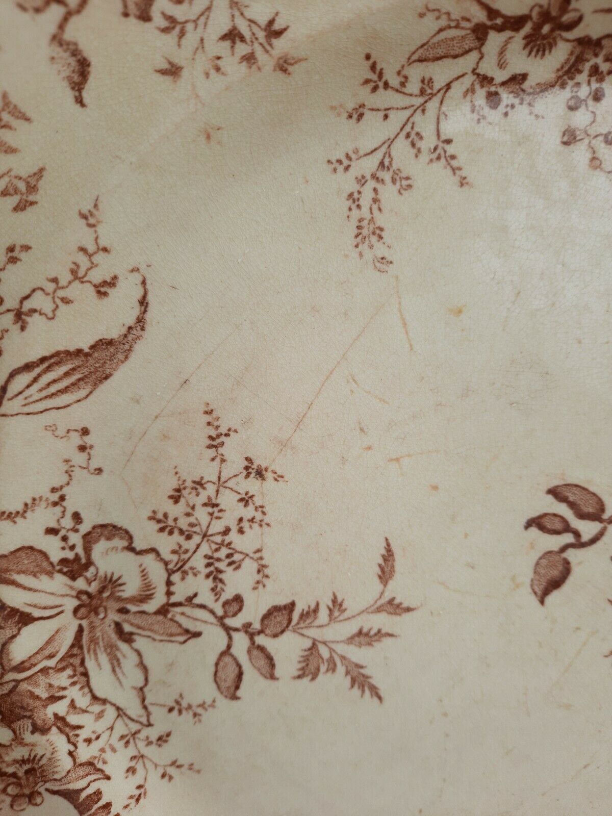 Salins earthenware plates, fer terre