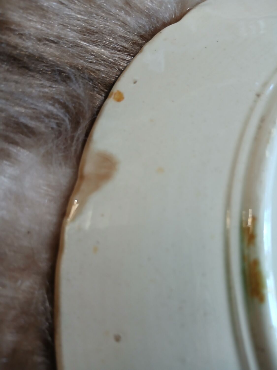 Antique slipware plate