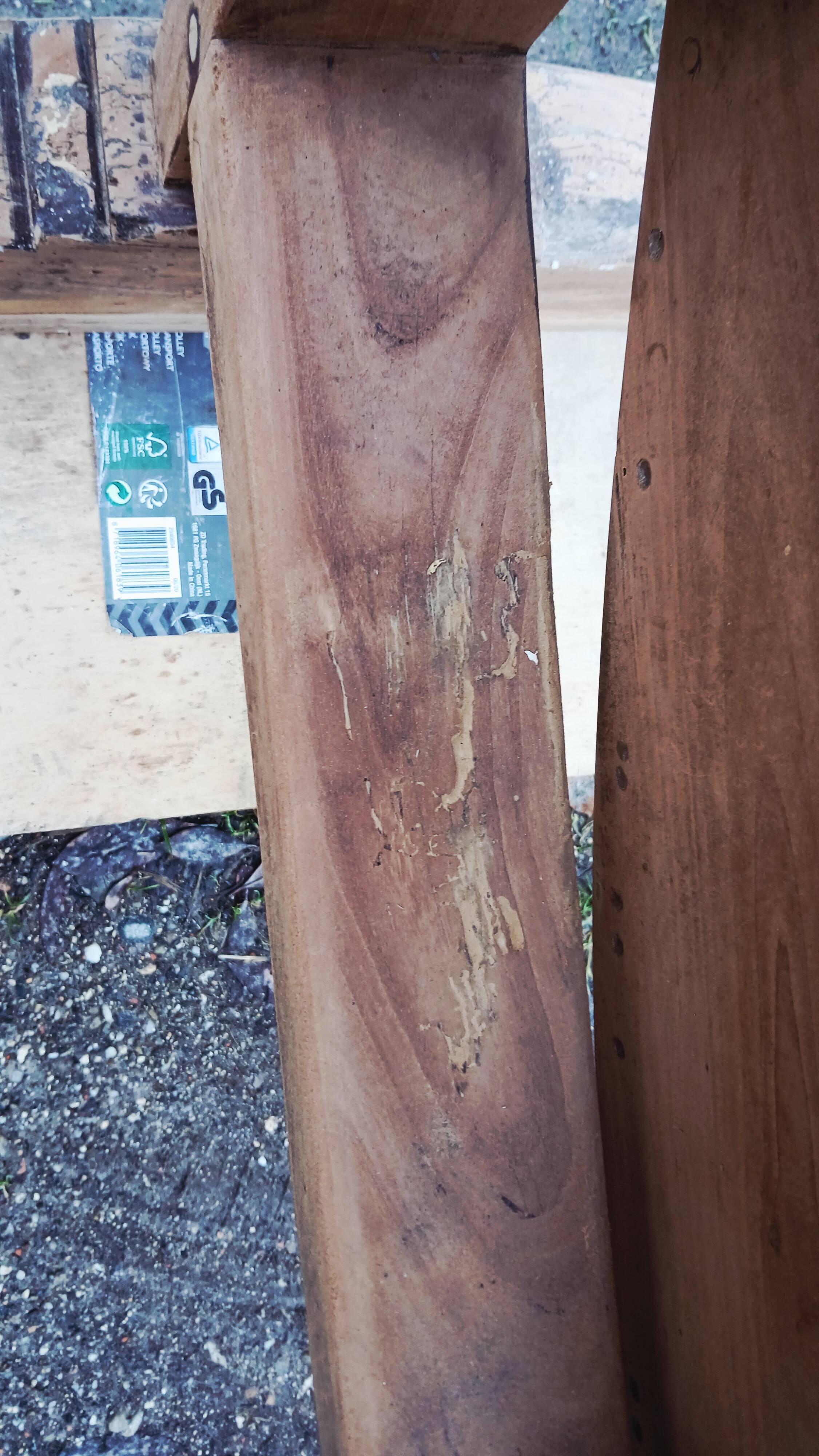 Oval table of grape harvesters from the Southwest in cherry wood