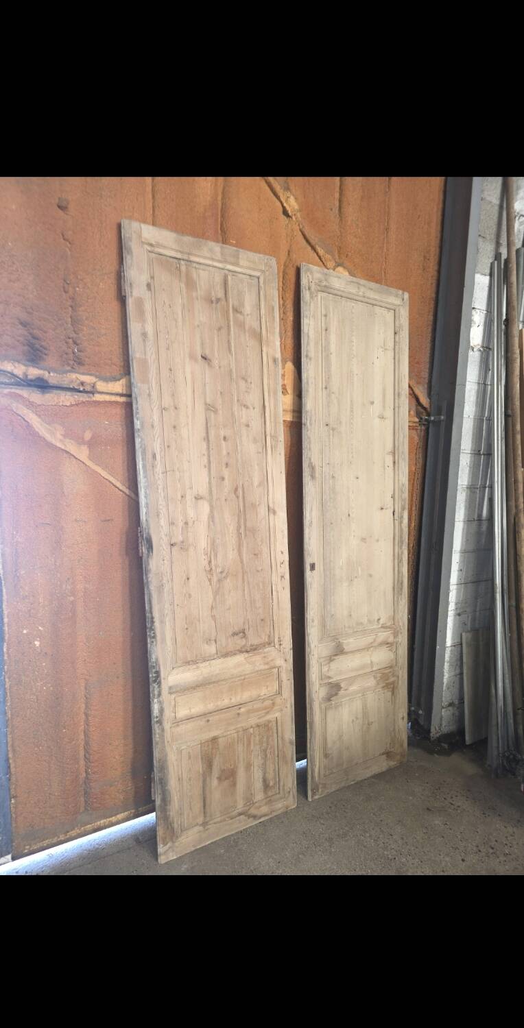 Pair of doors, 19th century