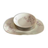 Hollow plates and flat cherry trees Stelmann