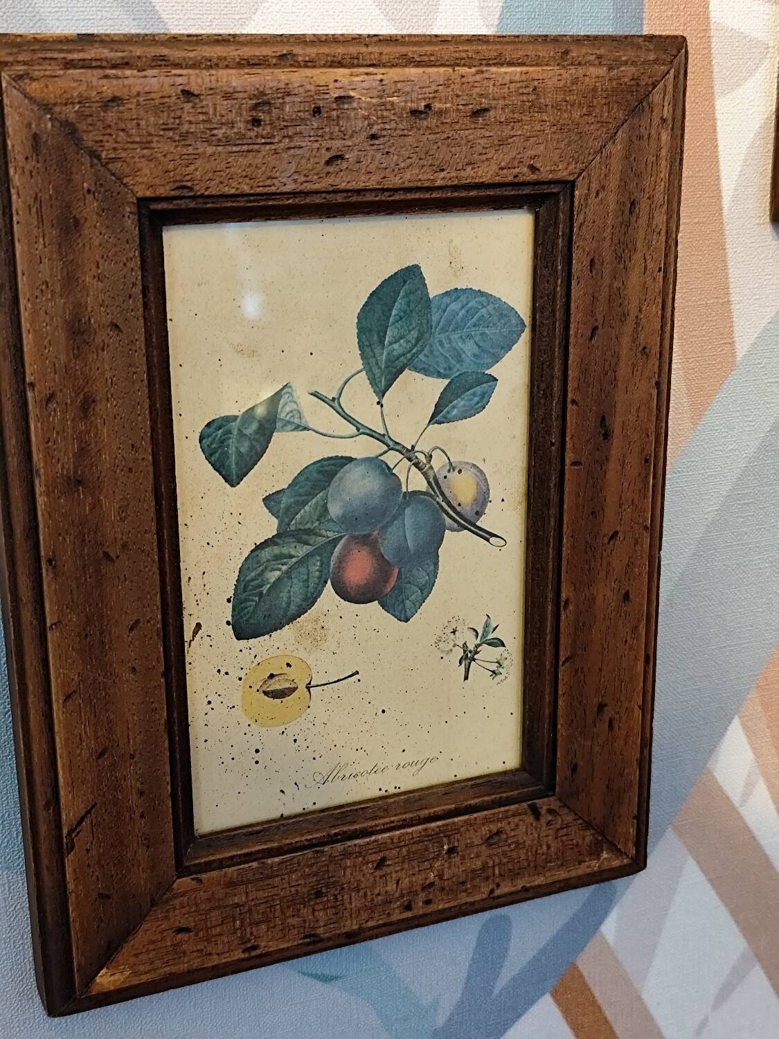 Set of three small framed fruit prints