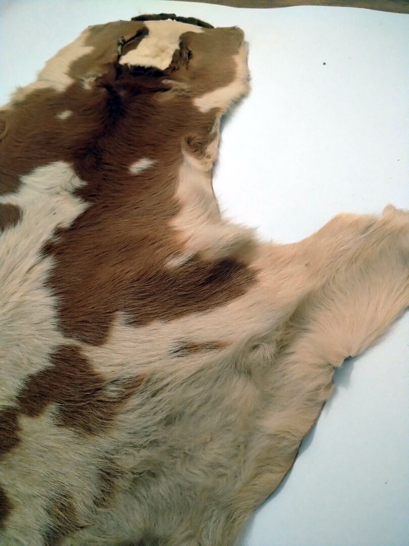 Vintage calf (cow) skin 80x120 cm