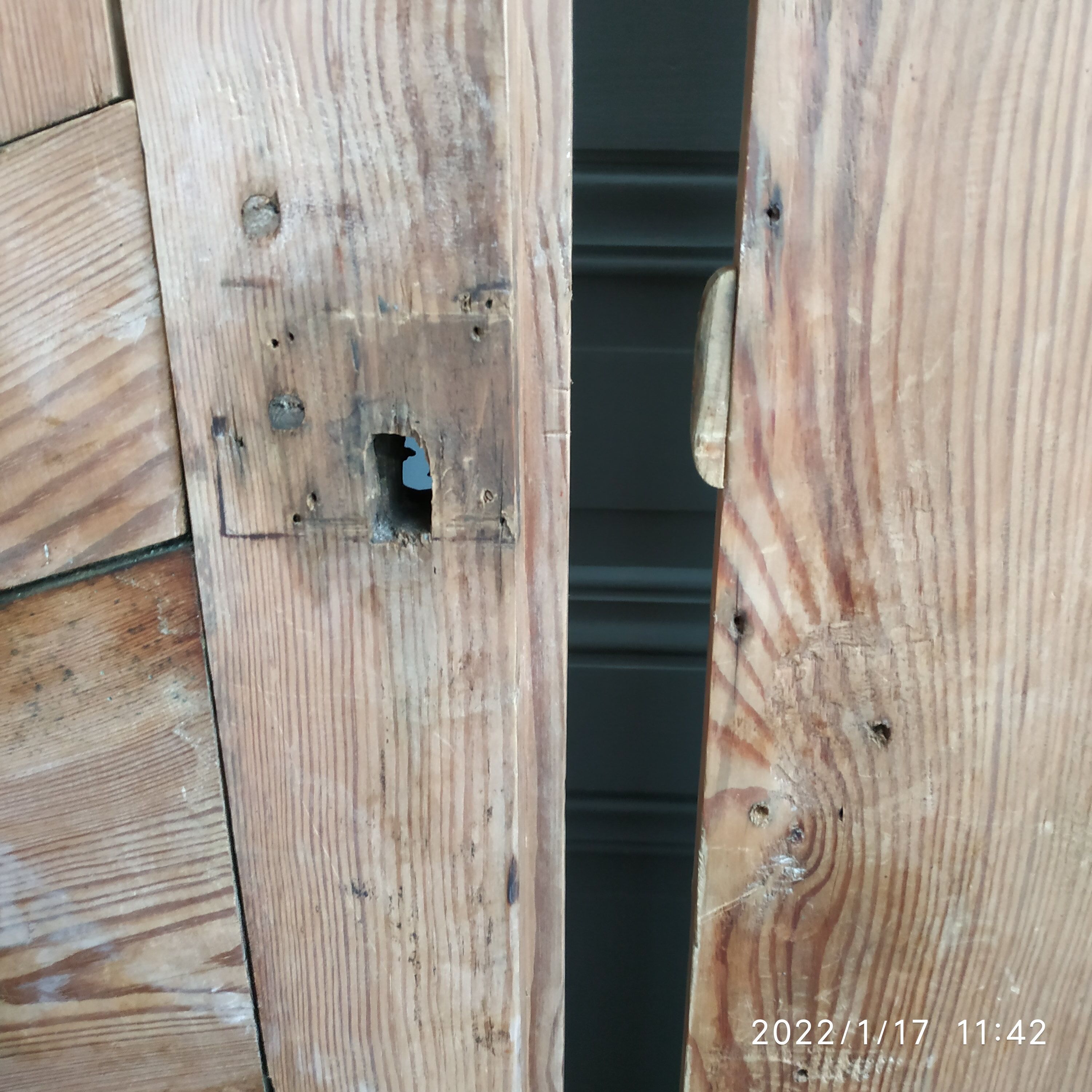 Pair of cabinet doors