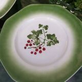 Set of 10 Pexonne Fruit Decor plates