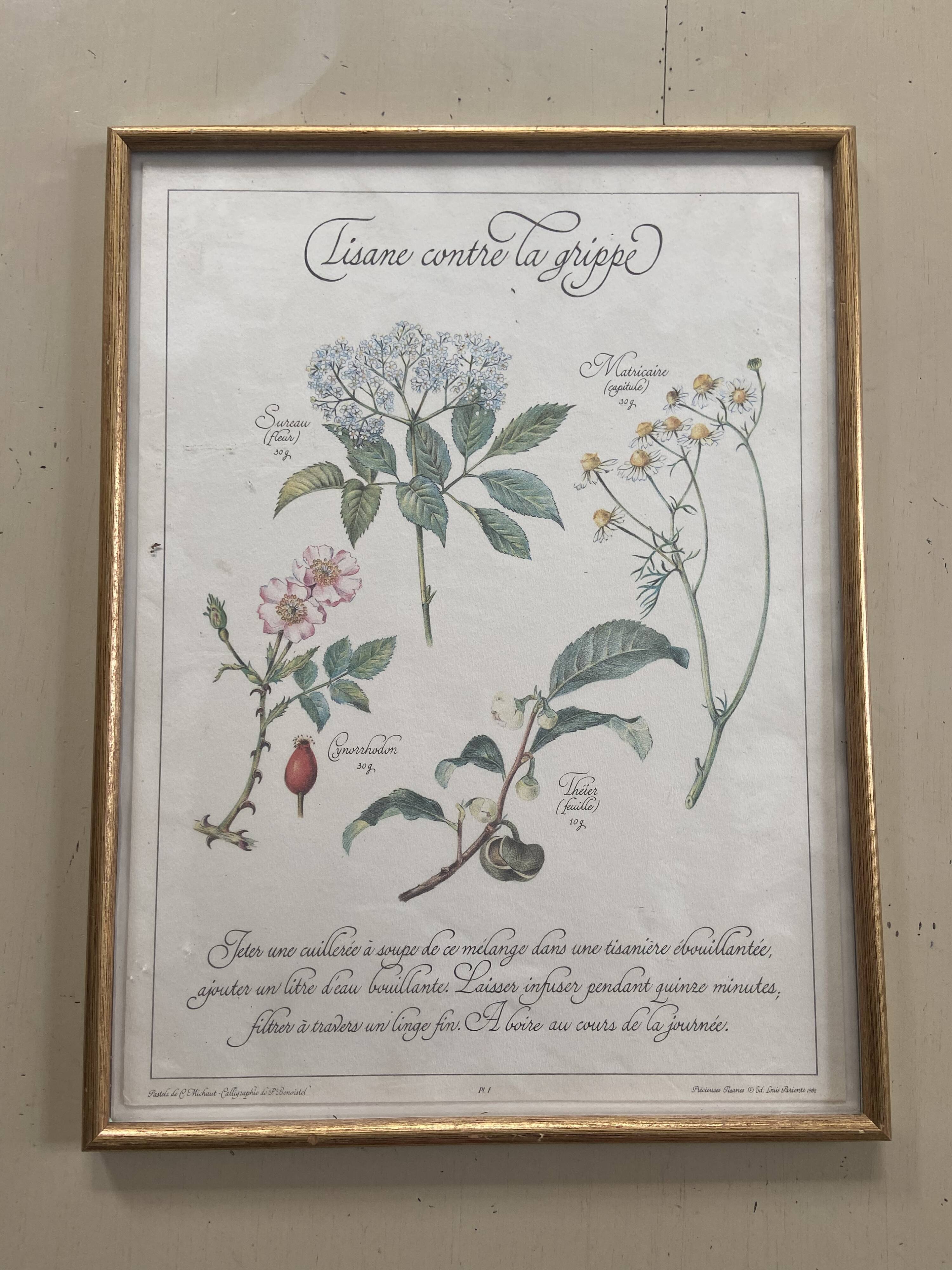 Tisane botanical plank against the flu